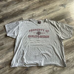 Harley-Davidson Gray Men's Shirt